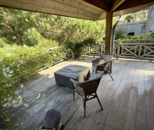 Villa La Vigne Ferret Avec Piscine