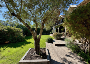 Villa Ferret Belisaire
