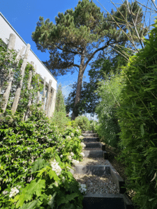 Villa Cap-Ferret Avec Vue Sur Le Bassin