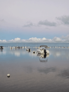 Villa Cap-Ferret Avec Vue Sur Le Bassin