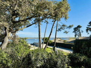 Villa Cap-Ferret Avec Vue Sur Le Bassin