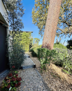 Villa Cap-Ferret Avec Vue Sur Le Bassin