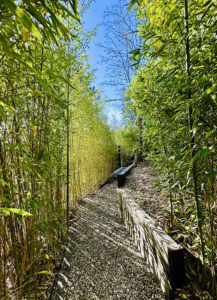 Villa Cap-Ferret Avec Vue Sur Le Bassin