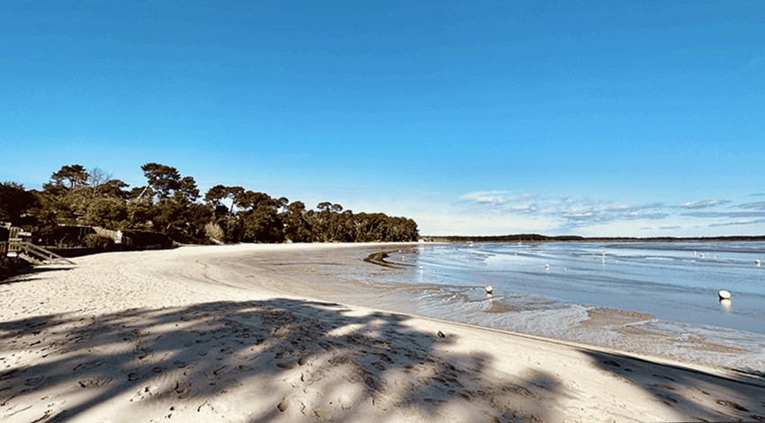 Villa Cap-Ferret avec vue sur le bassin Villa Cap-Ferret avec vue sur le bassin
