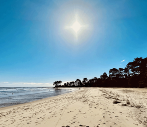 Villa Cap-Ferret Avec Vue Sur Le Bassin