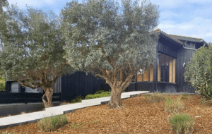 Villa Biscarrosse Avec Piscine
