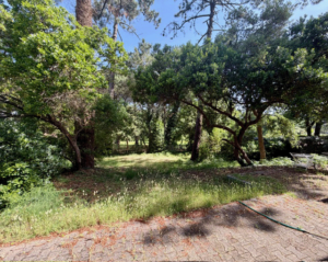 Villa Dune De L'Herbe