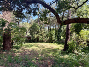 Villa Dune De L'Herbe