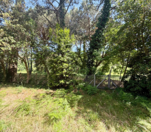 Villa Dune De L'Herbe