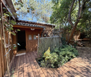 Cabanes 44 Hectares