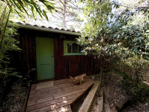 Cabanes 44 Hectares