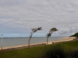 Appart Arcachon