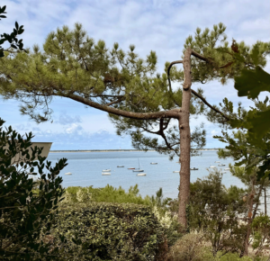 Appart Arcachon